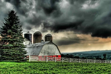 Rainy Nature HD Wallpapers ~ Toptenpack.com