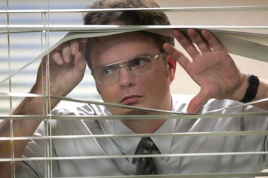 The Office Desktop Wallpapers