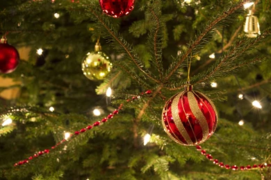 The Red Toy On The New Year Tree Wallpapers And Images ...