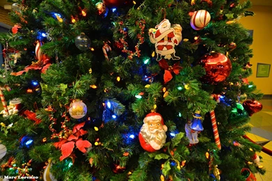 Christmas Tree   Photo Wallpapers, Pictures With A Christmas Tree ...