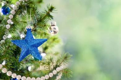2560x1600 Star, New Year, Tree, New Year, Christmas, Toy, Holiday ...