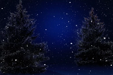 2560x1440 Merry Christmas, Trees, Winter, Nature, Snow, New Year ...