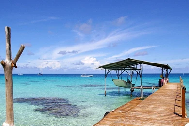 Free Summer Wallpapers   Widescreen HD Wallpapers