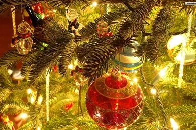 YouWall   Christmas Tree Wallpapers   Wallpaper,wallpapers,free ...