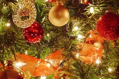 Download Wallpapers 640x960 Christmas Tree, Christmas Decorations ...