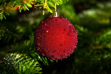 Christmas Tree Branches Balls Decoration New Year Wallpapers ...