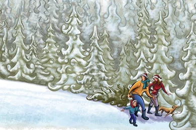 New Year Hike For The Tree HD Desktop Wallpapers : Widescreen ...