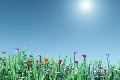 Top Free Spring Wallpapers Widescreen Images For Pinterest