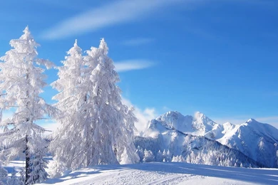 Top Winter Wonderland Hd Wallpapers 1080p Images For Pinterest