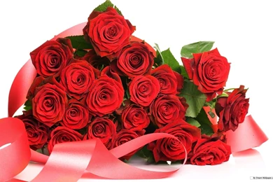 Free Wallpapers Free Flower Wallpapers Rose 1 Wallpapers ...