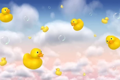 Rubber Ducky Wallpapers
