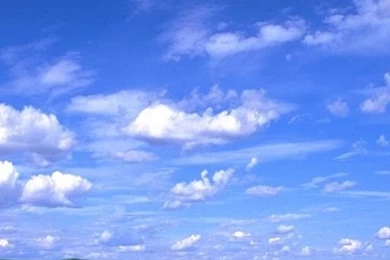 640x1136 Longhorn Field 1 Iphone 5 Wallpapers