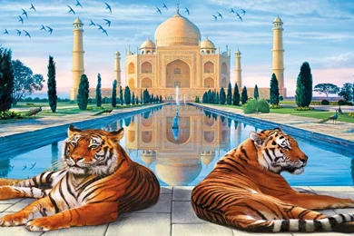 Taj Mahal Tigers Peacocks India Swallows Art Painting Pond Other ...