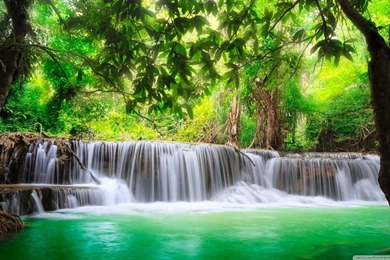 Green Tropical Waterfall HD Desktop Wallpapers : High Definition ...