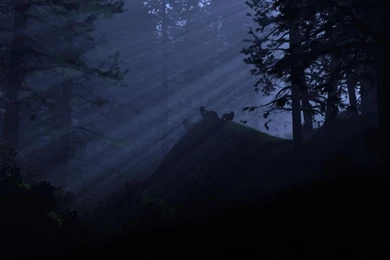 Night Watch Wallpapers