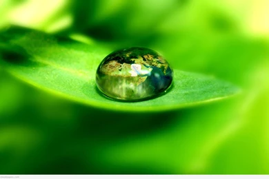 Absolutely Beautiful Nature Images For Your Desktop