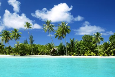 File:Beach (2000x1333) wallpaper 3.jpg   Wikimedia Commons