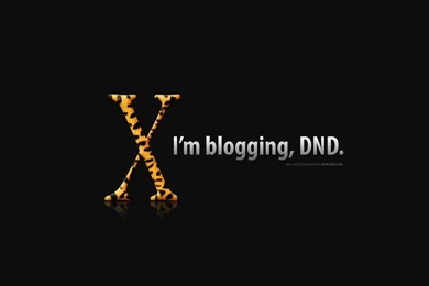 Leopard Wallpapers, Free And Customizable   Hongkiat