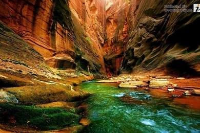 Beautiful Nature Wallpapers Scenery 6 HD Wallpapers