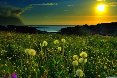 Beautiful Nature   Nature Wallpapers