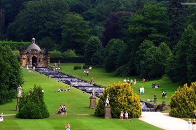 Beautiful Nature Picture HD