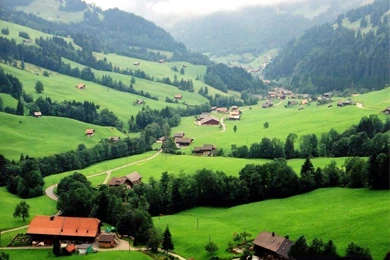 Desktop Wallpapers » Natural Backgrounds » Natural Beauty ...