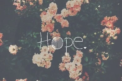 Background, Hipster, Iphone, Nature, Pastel, Photography, Pink ...