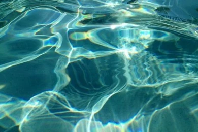 Flowers, Green, Hipster, Indie, Iphone Wallpaper, Lake, Light ...