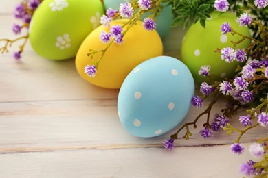 Rabbit Easter Eggs Wallpapers