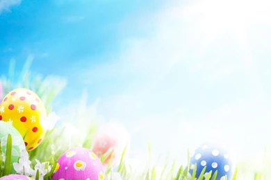 EASTER EGGS WALLPAPER   (