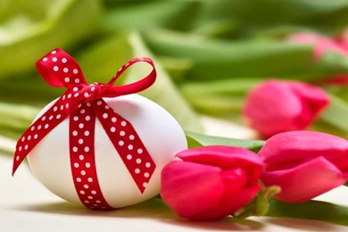 Egg With A Red Bow On Easter Wallpapers And Images   Wallpapers ...