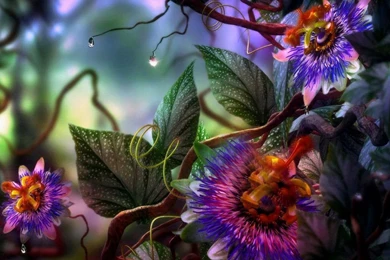 3D Hd For Laptop (id: 161881) – BUZZERG