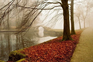 Autumn Pictures Wallpapers Desktop