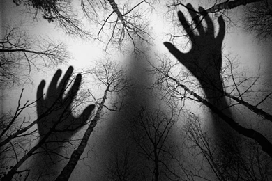 Best Desktop Wallpapers (2) Photos Of Best Sources For Desktop ...