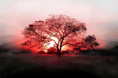 Free Download 130+ Mixing Full HD Wallpapers 2013