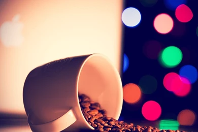 Coffee Seeds HD Pictures