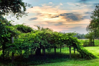 Desktop Wallpapers 1366x768