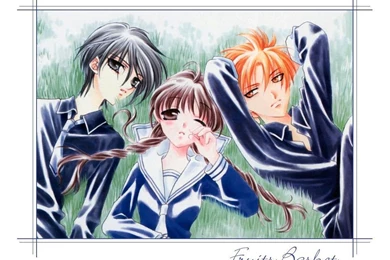 Fruit Basket   Fruits Basket Wallpapers (54529)   Fanpop