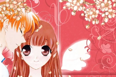 So In Love With Tohru   Fruits Basket Wallpapers (25413451)   Fanpop