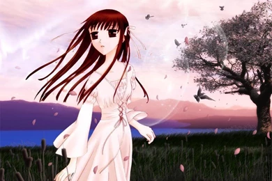 Fruits Basket Wallpapers   Fruits Basket Wallpapers (19852147)   Fanpop