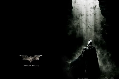 Batman Wallpapers   Batman Wallpapers (49481)   Fanpop