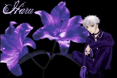 Fruits Basket Wallpapers   Fruits Basket Wallpapers (19852179)   Fanpop