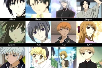 Download Fruits Basket Momiji Sohma Wallpapers 1024x768