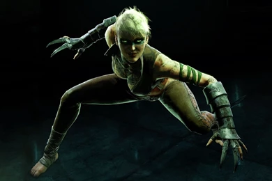 Batman Arkham Origins 2013 Wallpapers HD FOr PC