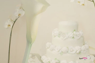 Wedding Backgrounds Wallpapers   131353