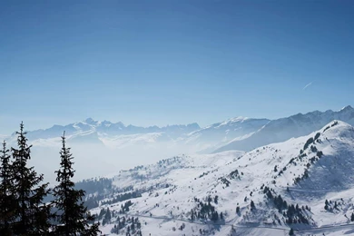 Top Name Sunny Snowy Images For Pinterest