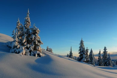 Sunny Winter Day In The Snowy Mountains Wallpapers   Nature ...