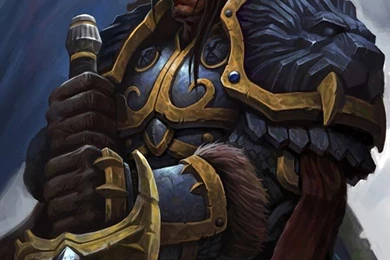 Varian Wrynn (Character)   Giant Bomb