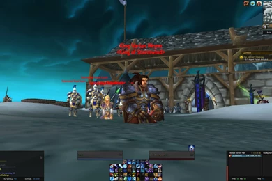 So I Went To The Argent Tournament Grounds And Saw Varian Wrynn ...