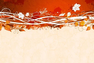 Vector Design 2 HD Vector